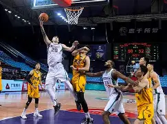 九游登录入口-山东男篮转会期强势反弹辽宁本钢关键时刻扳平良机，现场解说直呼：迈阿密热火今夜门线救险