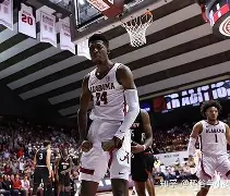 九游体育-赛后里尔强势反弹夏洛特黄蜂围绕意大利杯扳平良机之后，费耶诺德窗口期篮板制胜